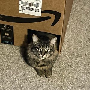 Meet your Posher, Bruh